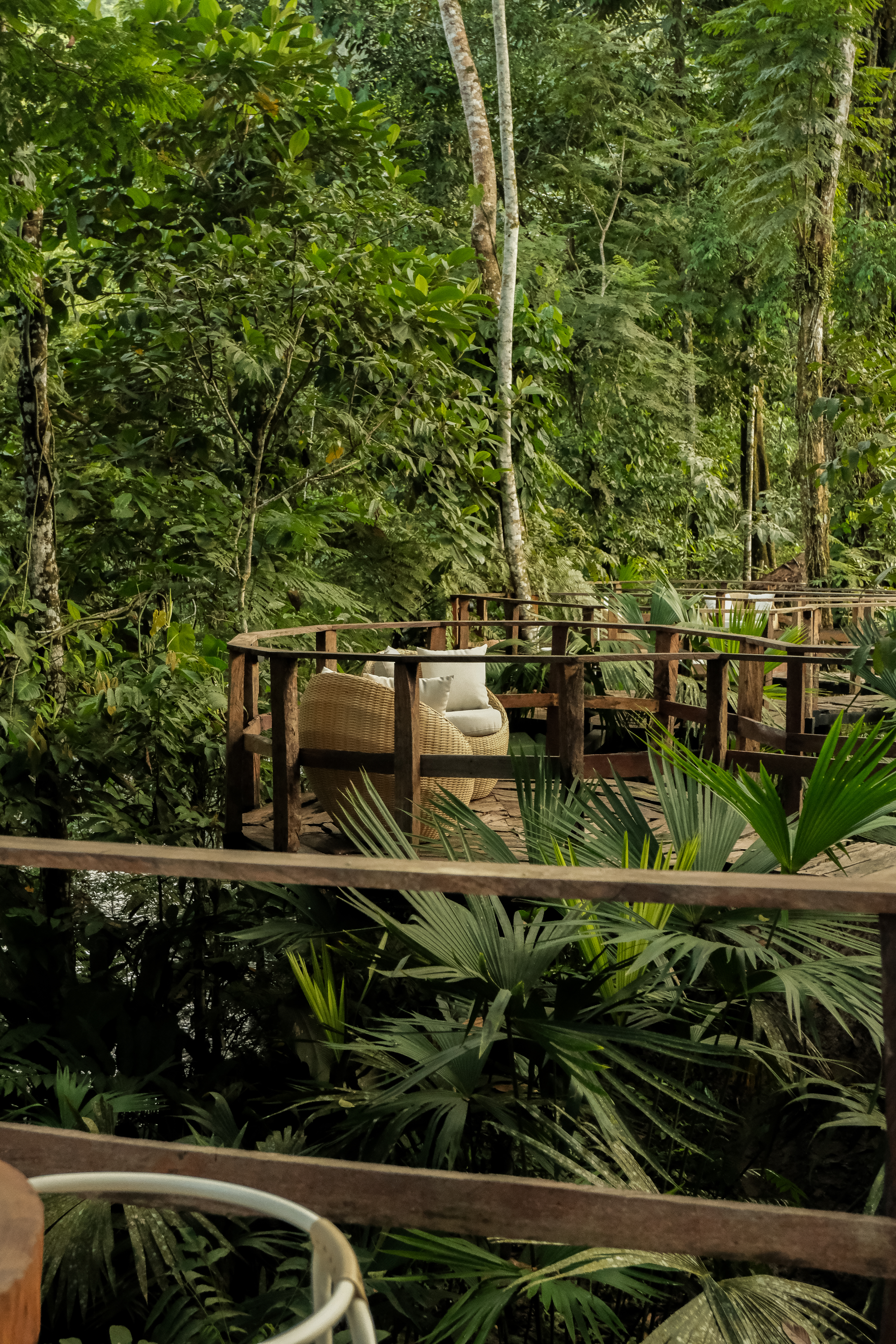 Copia de DSCF1800.jpg